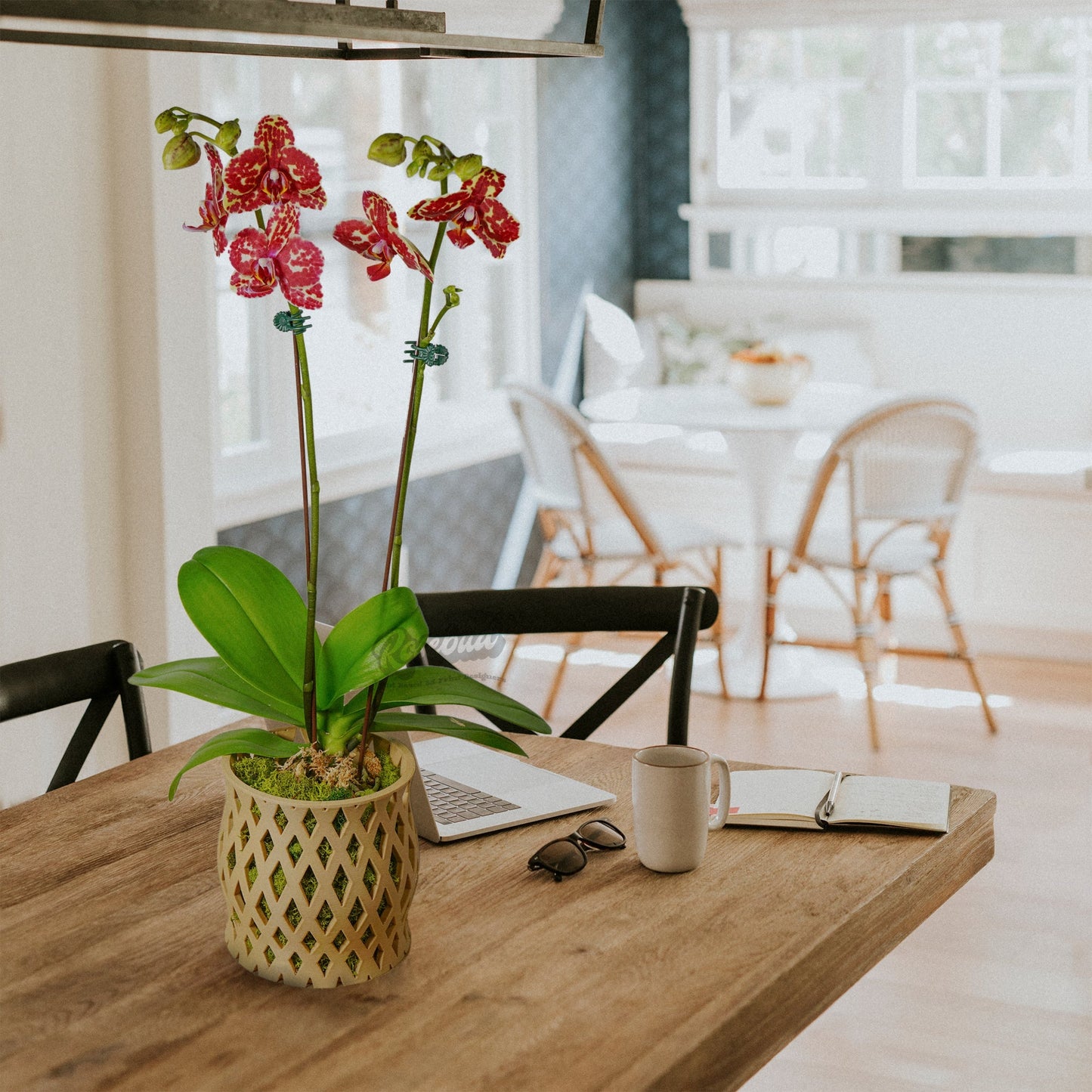 Wholesale Partner: Rosebud HomeGoods - Capricious Orchid Planter Pot