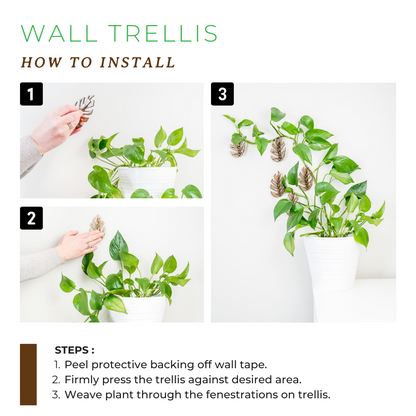 Wholesale Partner: Treleaf - Monstrella - Wall Mounted