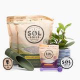 Succulent Lover Pack