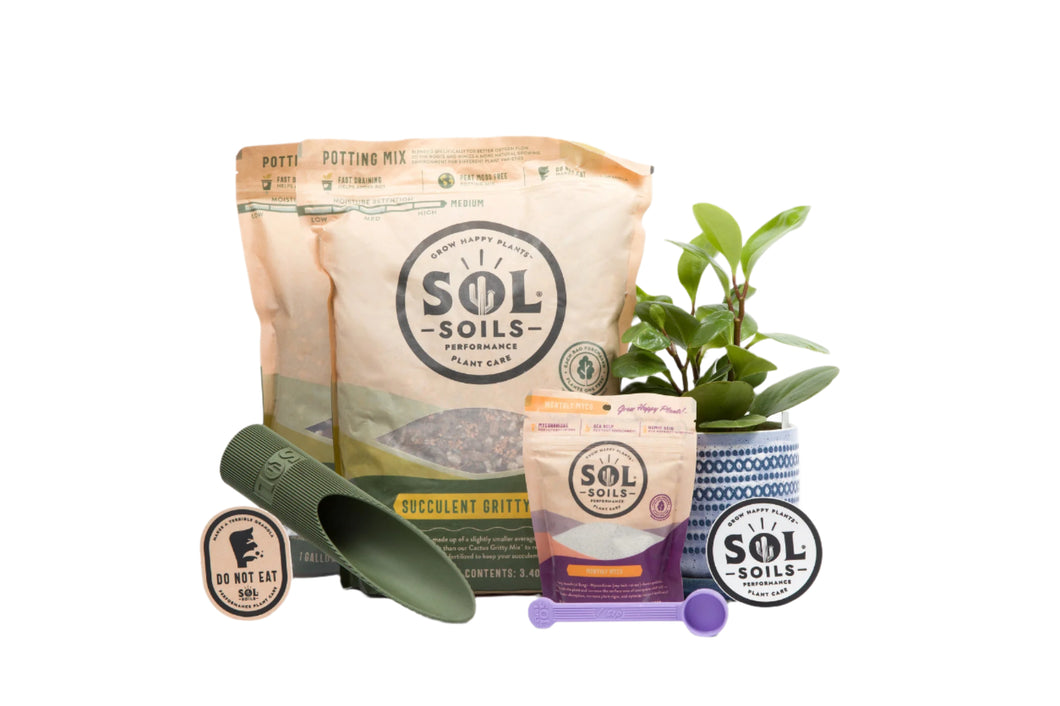 Succulent Lovers Pack