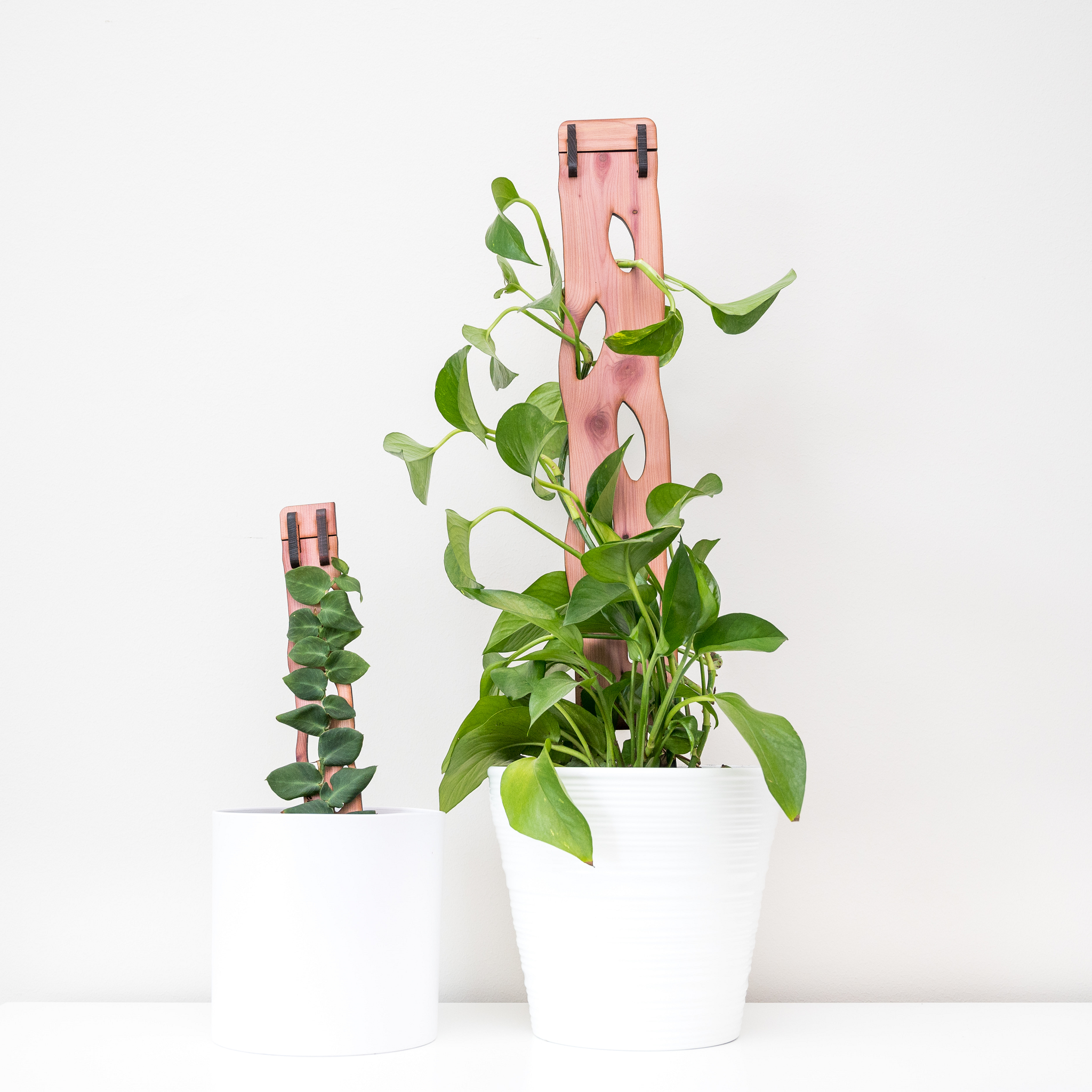 Wholesale Partner: Treleaf - Zella - Wooden Extendable Plant