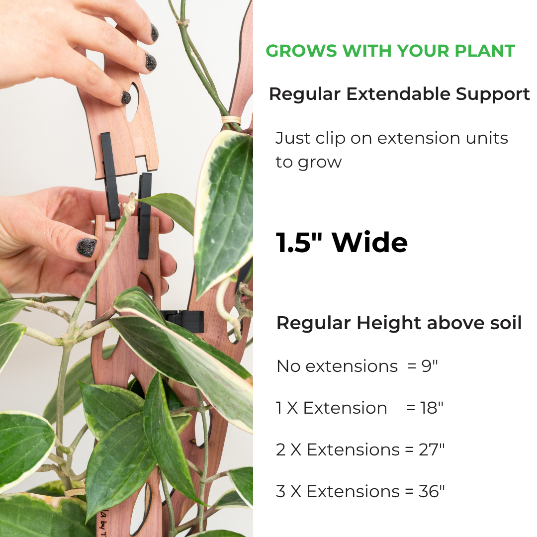Treleaf - Zella - Wooden Extendable Plant Support – Sol Soils